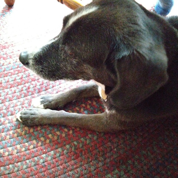 Meet your Posher, Nora - Picture 6 of 8